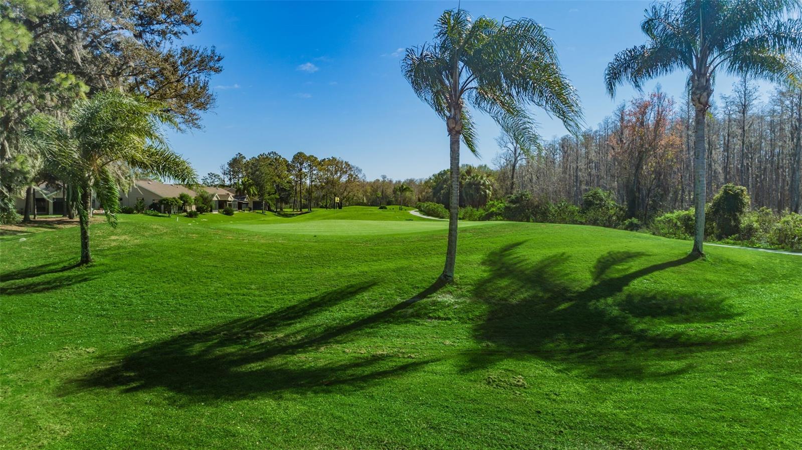 Image 60 of 60 For 9519 Scenic Pine Court