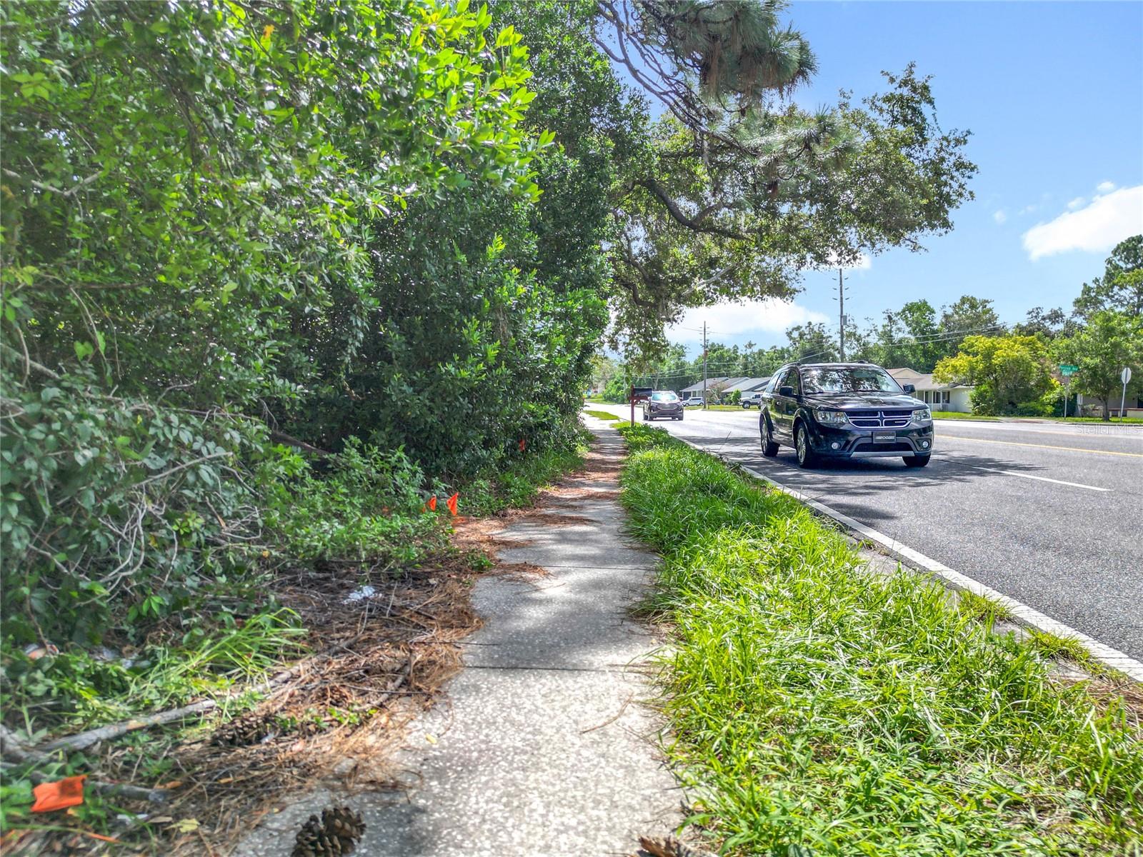Listing photo id 9 for 9449 Spring Hill Drive
