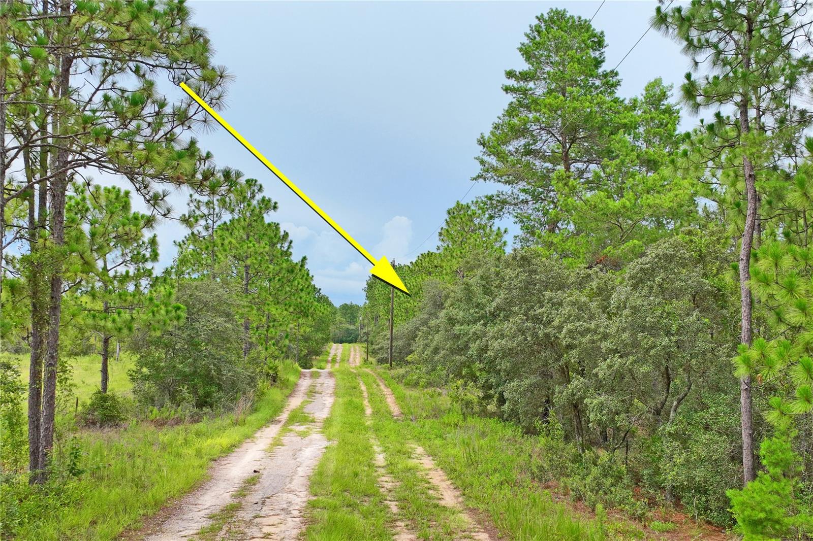Image 3 of 20 For 9423 Tami Path
