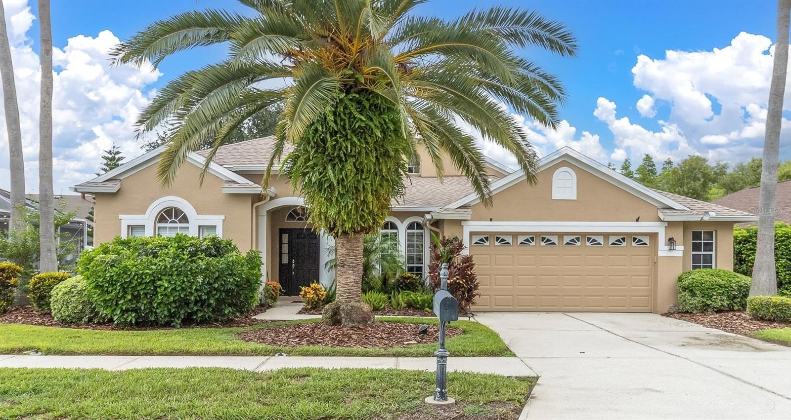 Details for 8729 Torchwood Drive, TRINITY, FL 34655