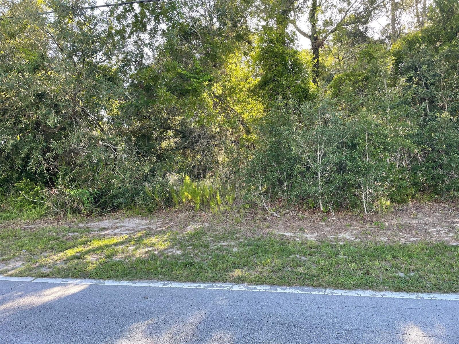 Listing photo id 0 for 8217 Nightingale Road