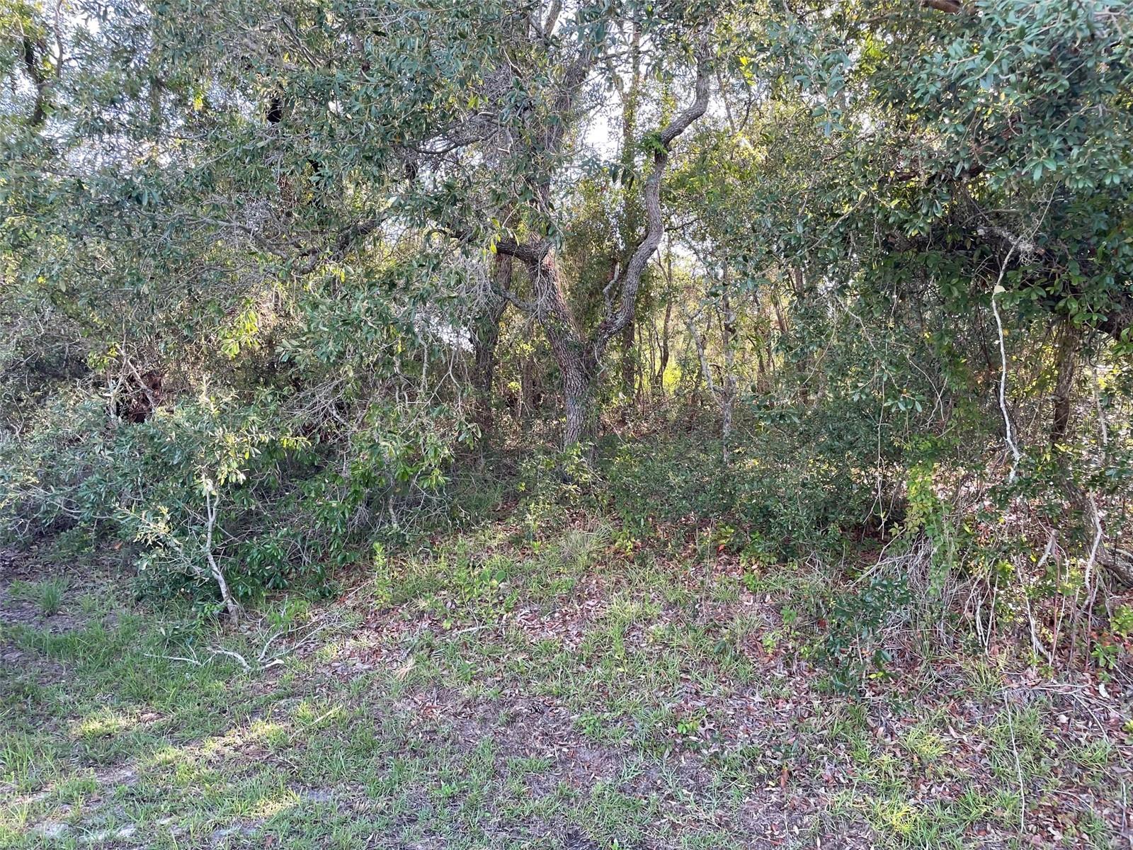 Listing photo id 1 for 8217 Nightingale Road
