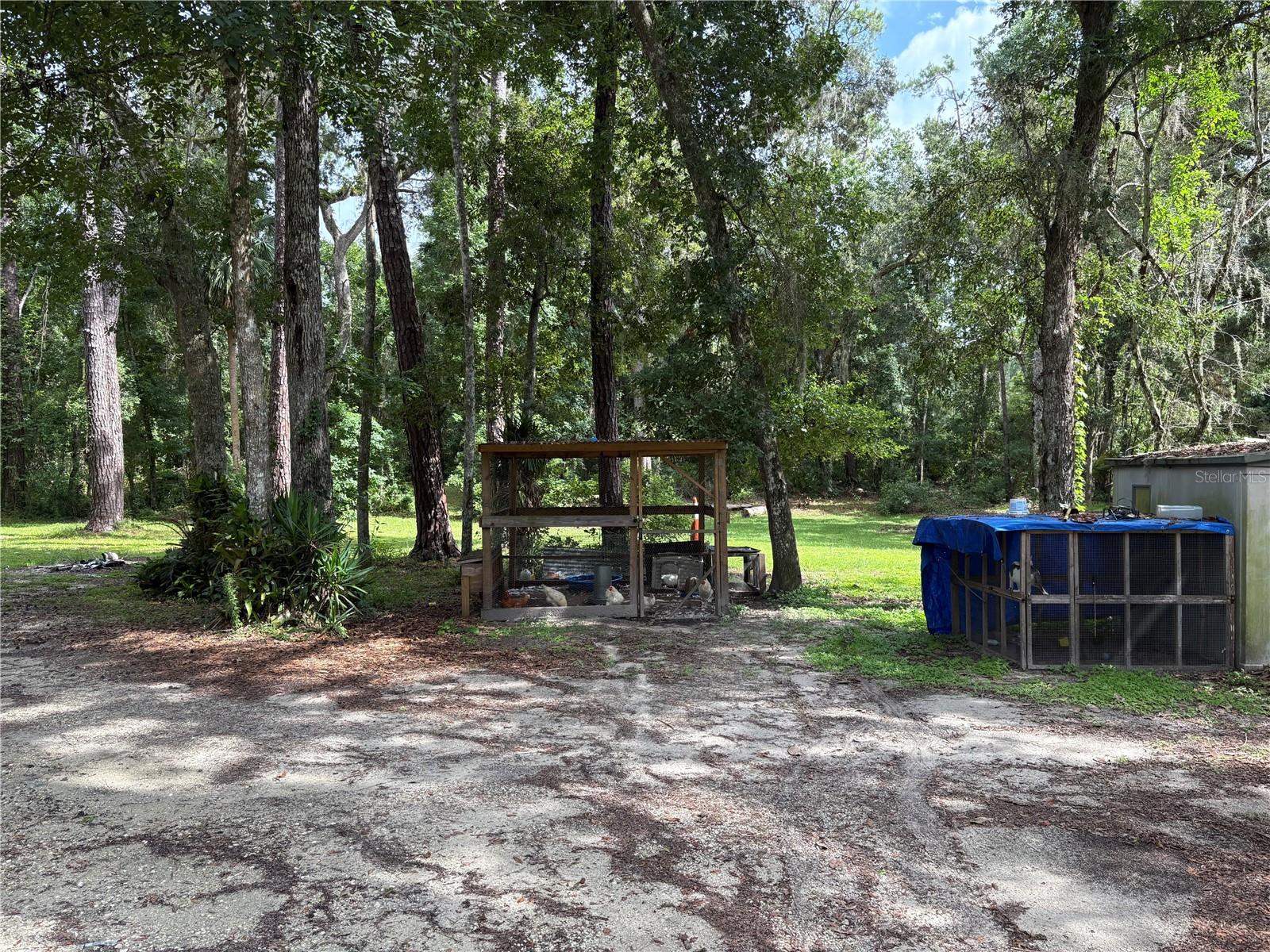 Image 4 of 20 For 7107 Cedar Lane