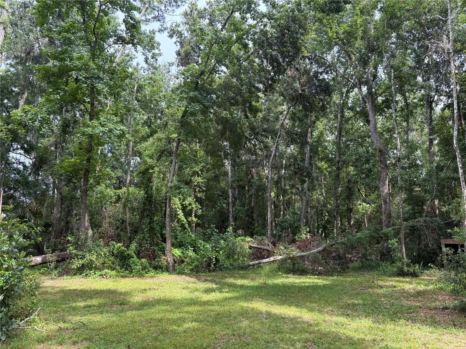 Image 5 of 20 For 7107 Cedar Lane