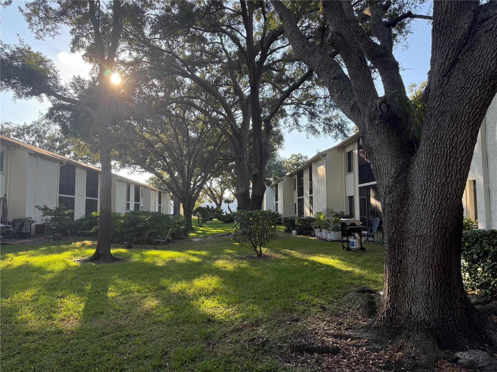 Image 41 of 48 For 208 Palmetto Ct 208