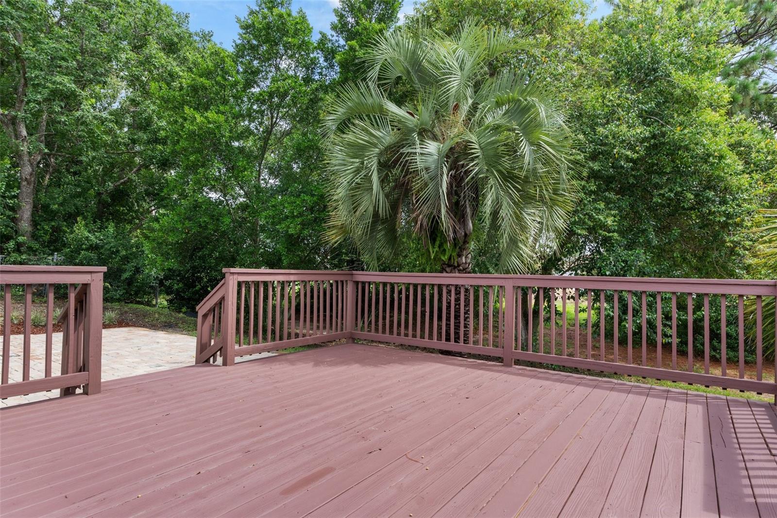 Image 46 of 62 For 931 Starjasmine Place