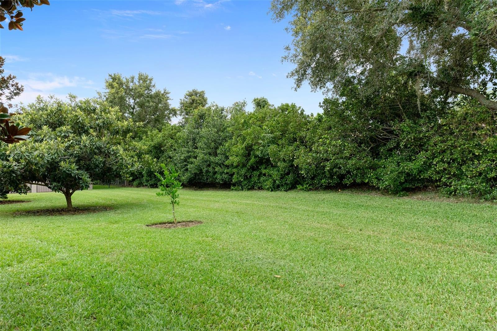 Listing photo id 44 for 1576 Eagle Ridge Path