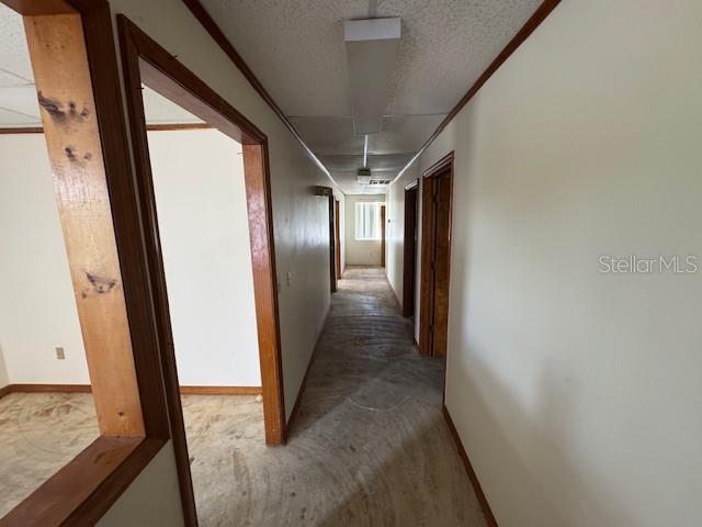 Listing photo id 5 for 5340 Gulf Drive 203