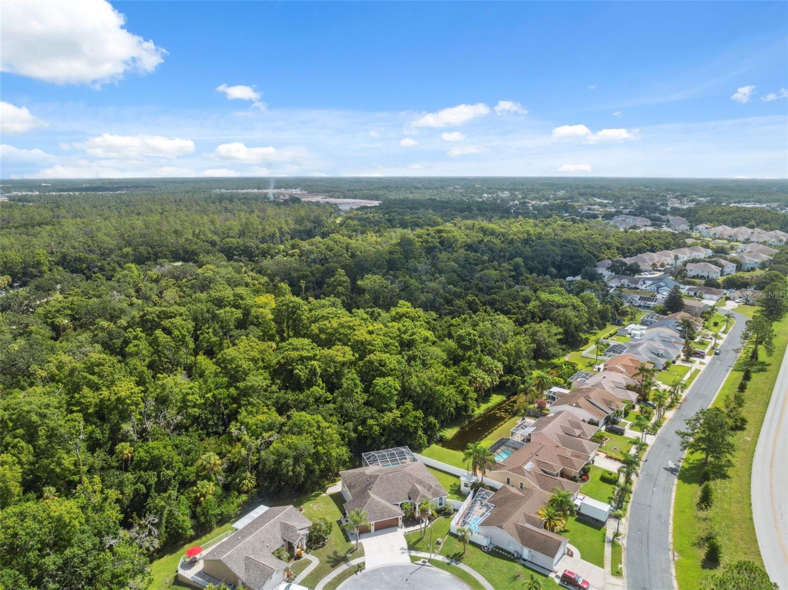Listing photo id 34 for 8125 Setters Point Drive