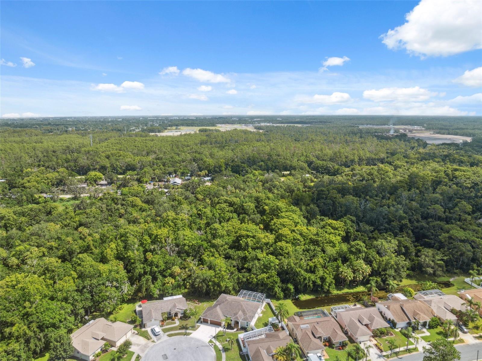 Listing photo id 35 for 8125 Setters Point Drive
