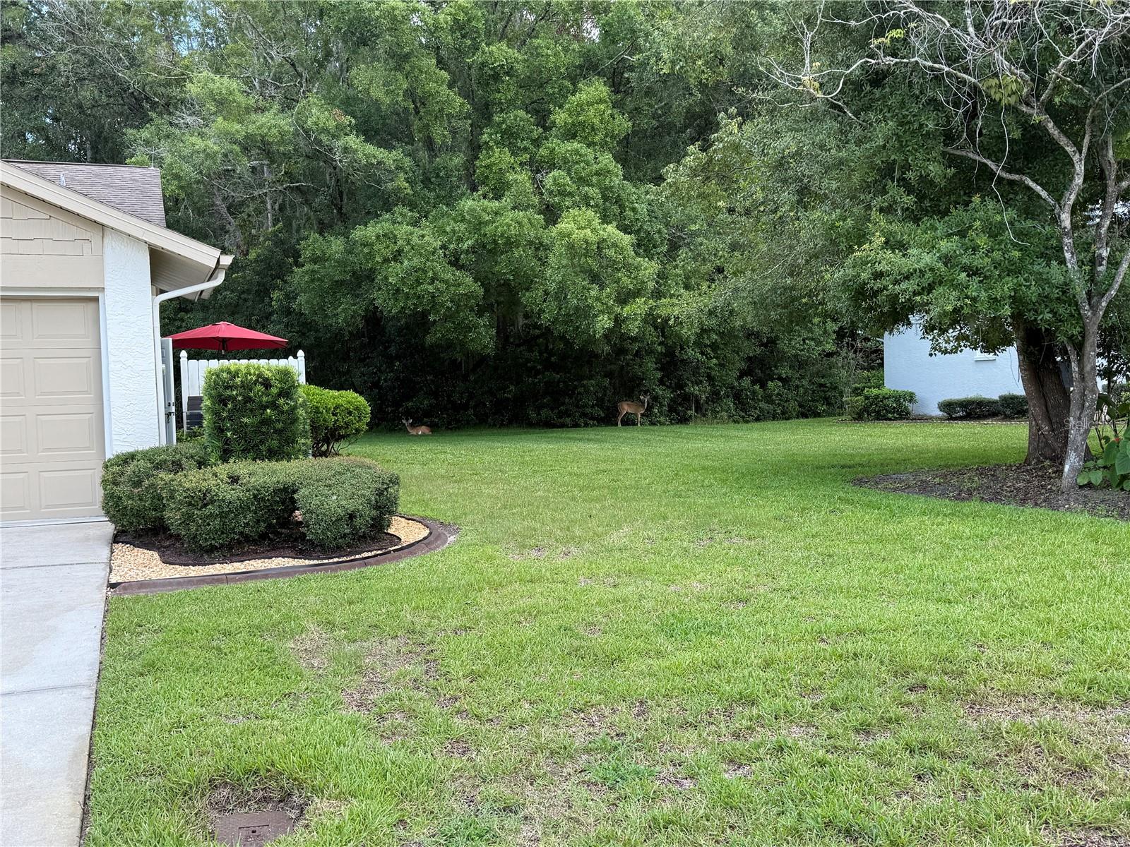 Image 13 of 39 For 11728 Aspenwood Drive