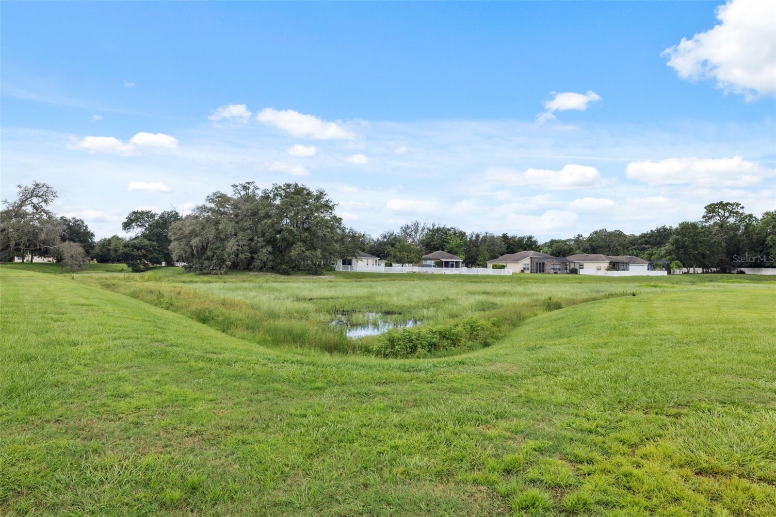 Image 25 of 32 For 15585 Lily Wood Lane