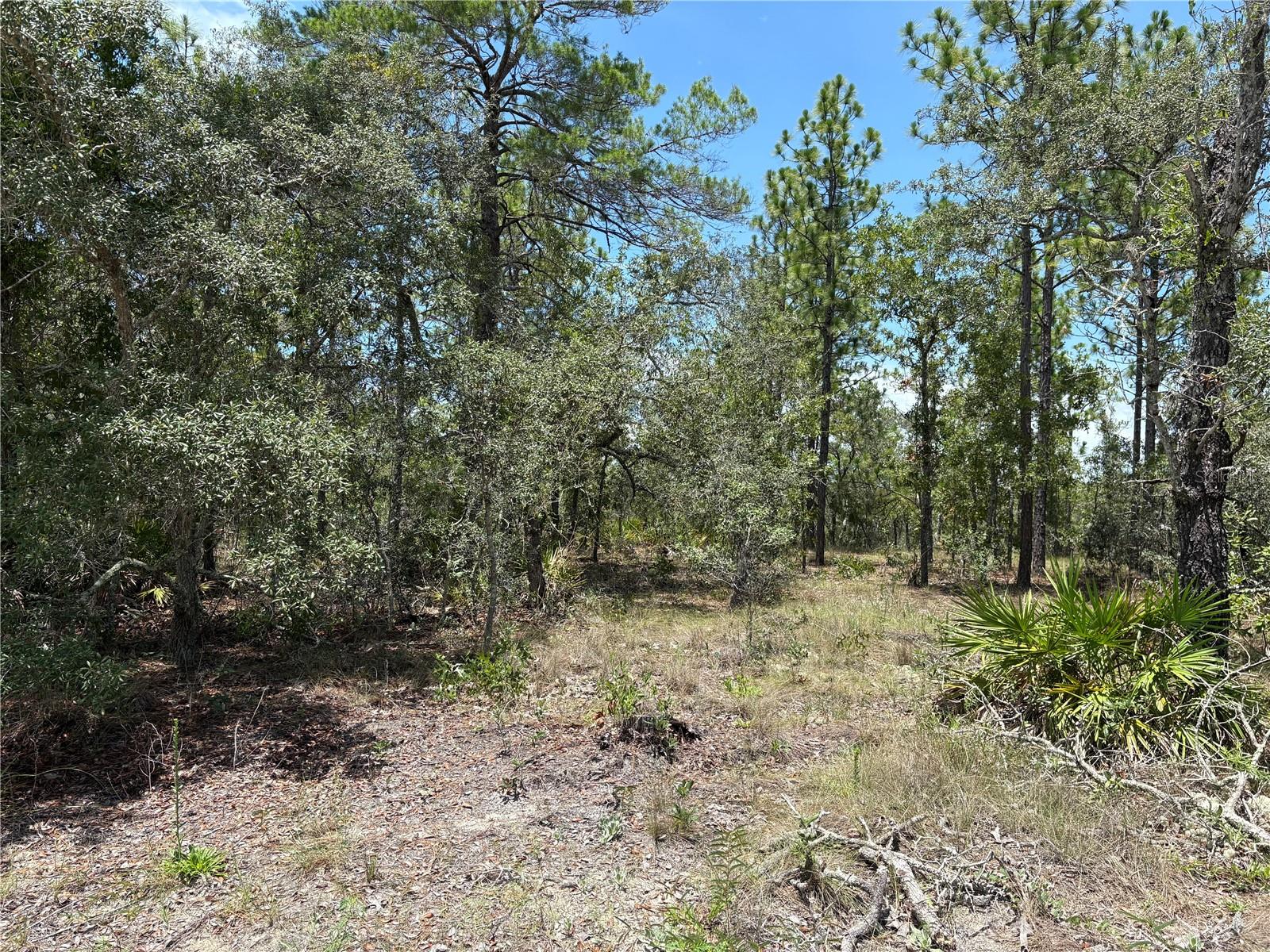 Details for 12179 Scarlet Ibis Avenue, BROOKSVILLE, FL 34614