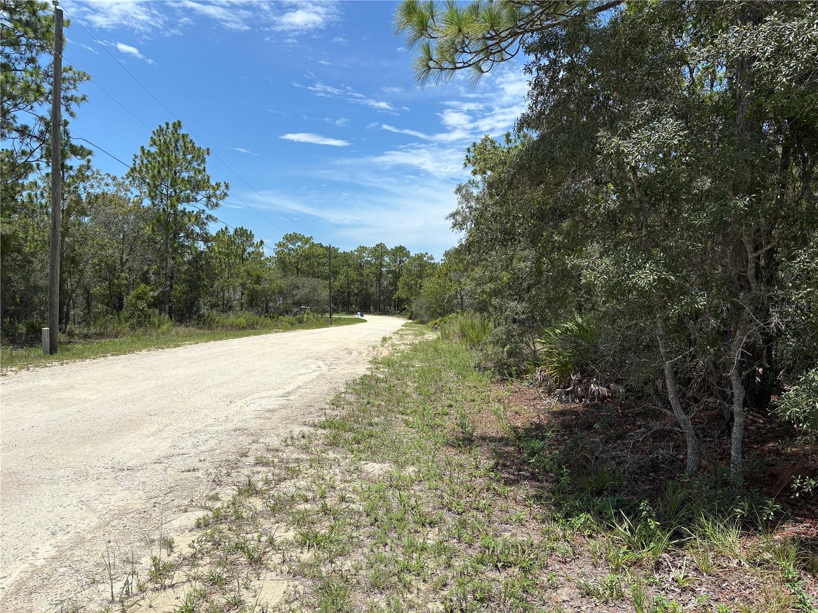 Listing photo id 1 for 12179 Scarlet Ibis Avenue