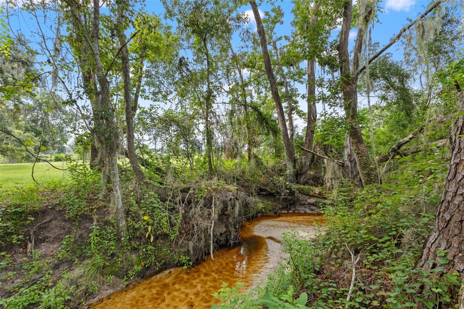 Listing photo id 57 for 22332 Mizell Road
