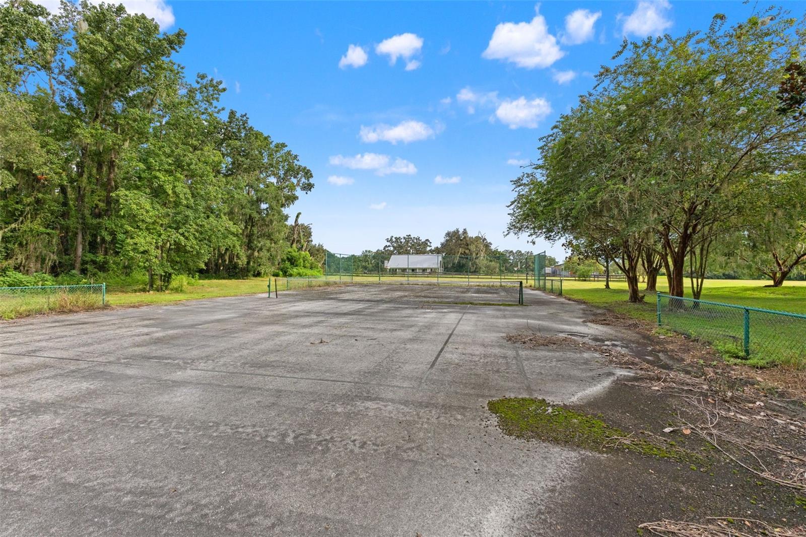 Listing photo id 61 for 22332 Mizell Road