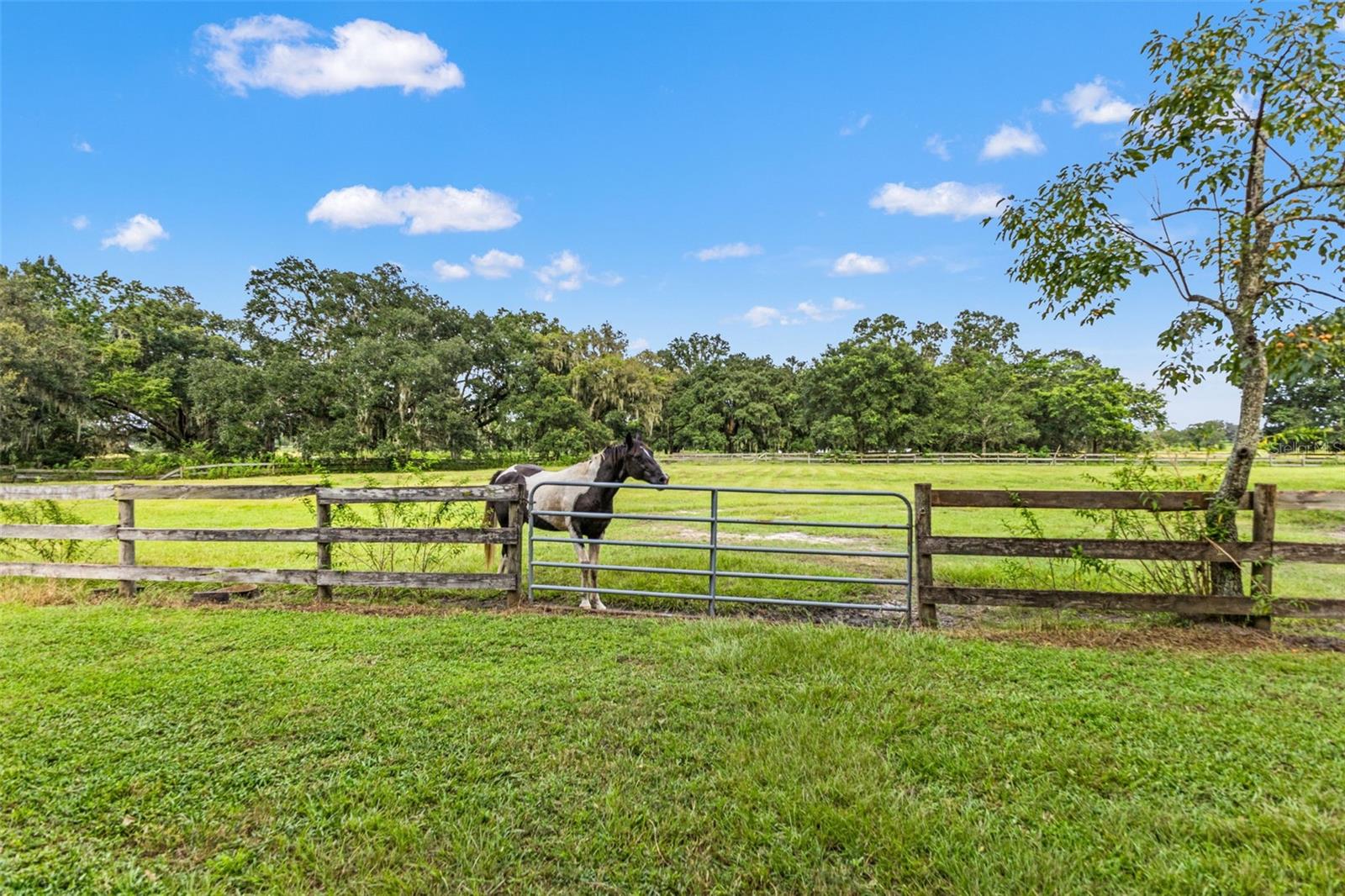 Listing photo id 73 for 22332 Mizell Road