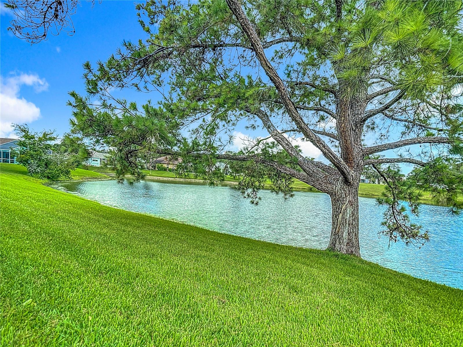 Image 57 of 75 For 13630 Plantation Lake Circle