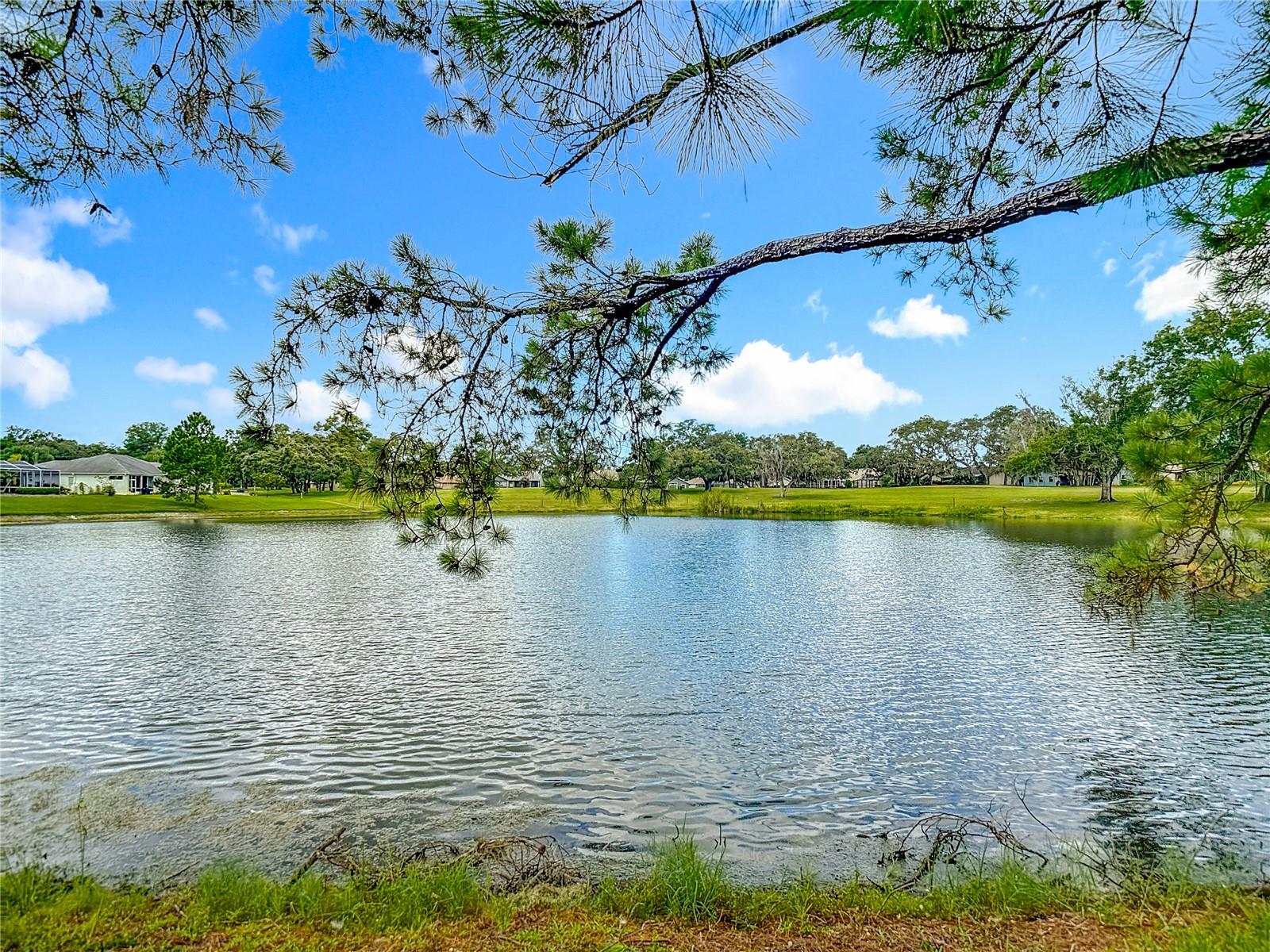 Image 59 of 75 For 13630 Plantation Lake Circle