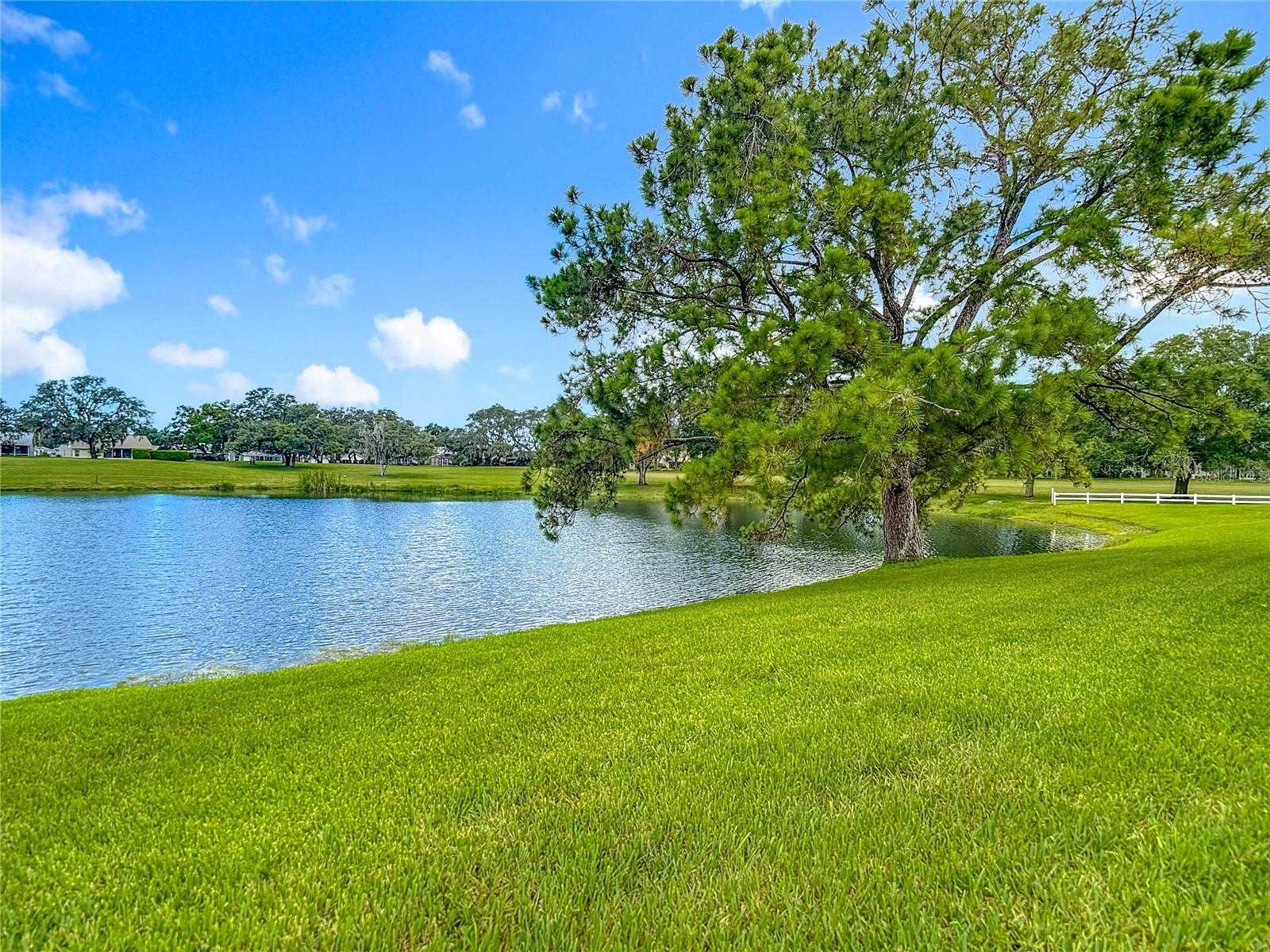 Image 60 of 75 For 13630 Plantation Lake Circle