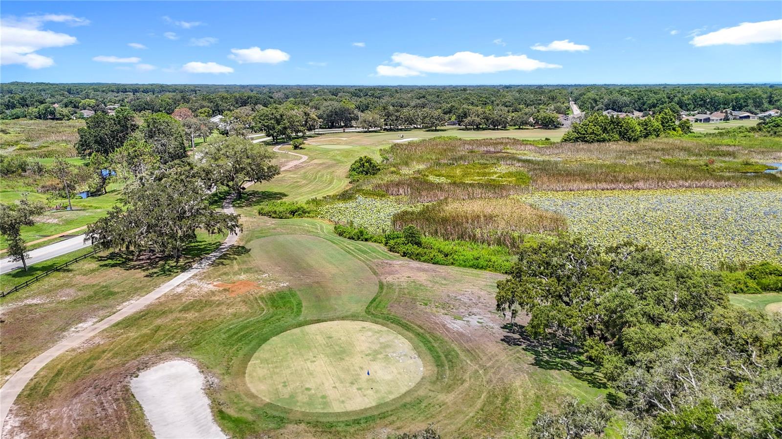 Image 73 of 75 For 13630 Plantation Lake Circle