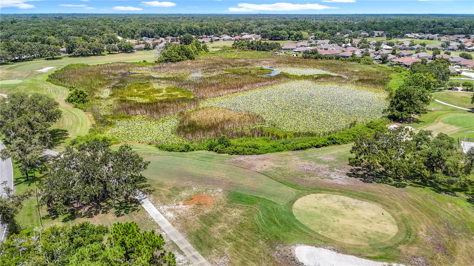 Image 75 of 75 For 13630 Plantation Lake Circle