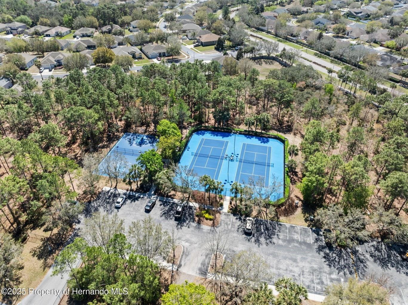 Image 47 of 71 For 13196 Golden Lime Avenue