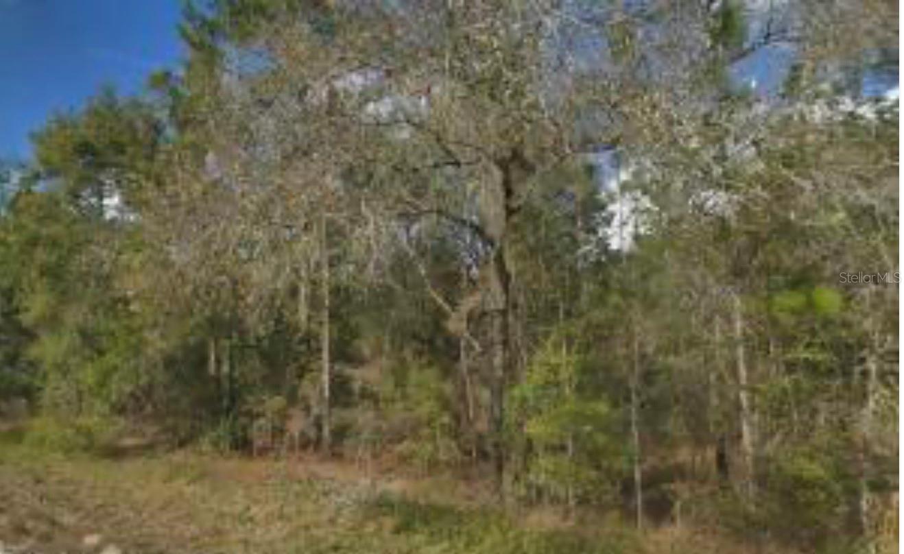 Image 3 of 4 For 14059 Ricebird Avenue