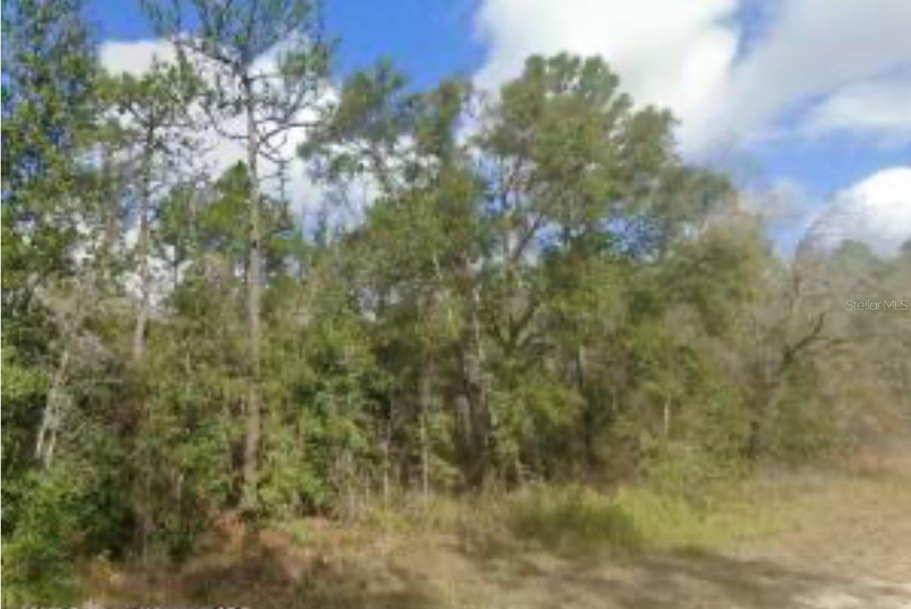 Image 4 of 4 For 14059 Ricebird Avenue