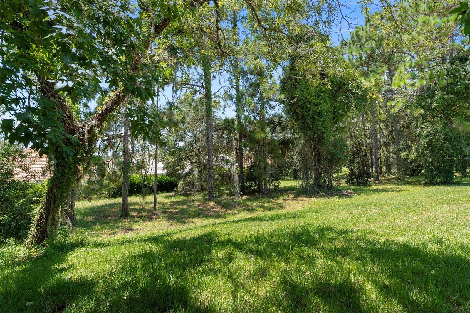 Image 43 of 69 For 1031 Diamond Shore Loop 5