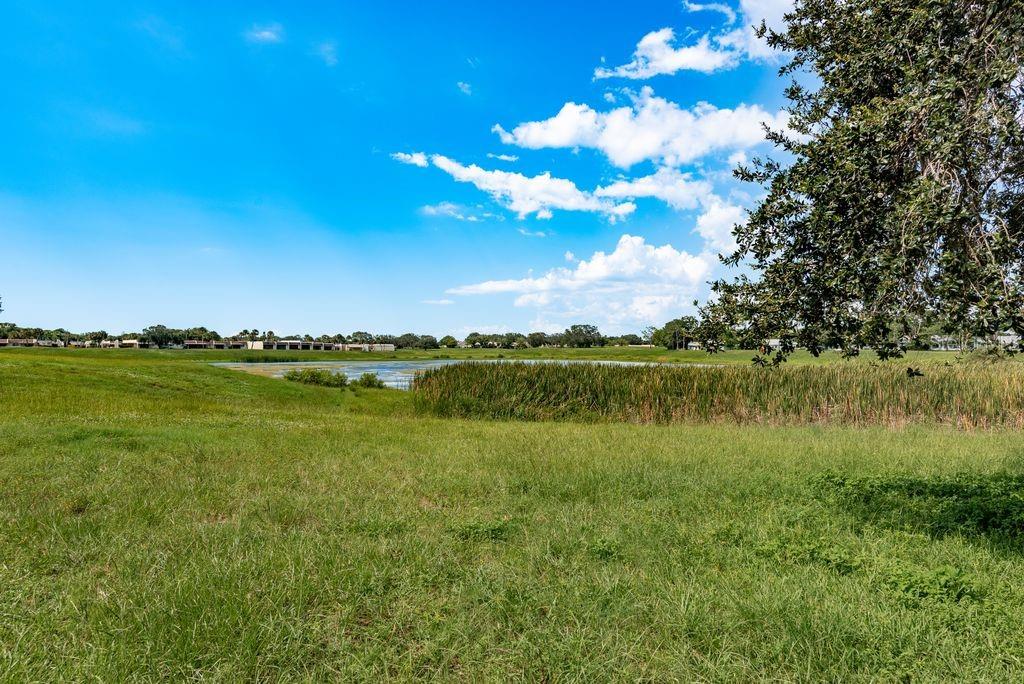 Image 31 of 45 For 8241 Palencia Drive