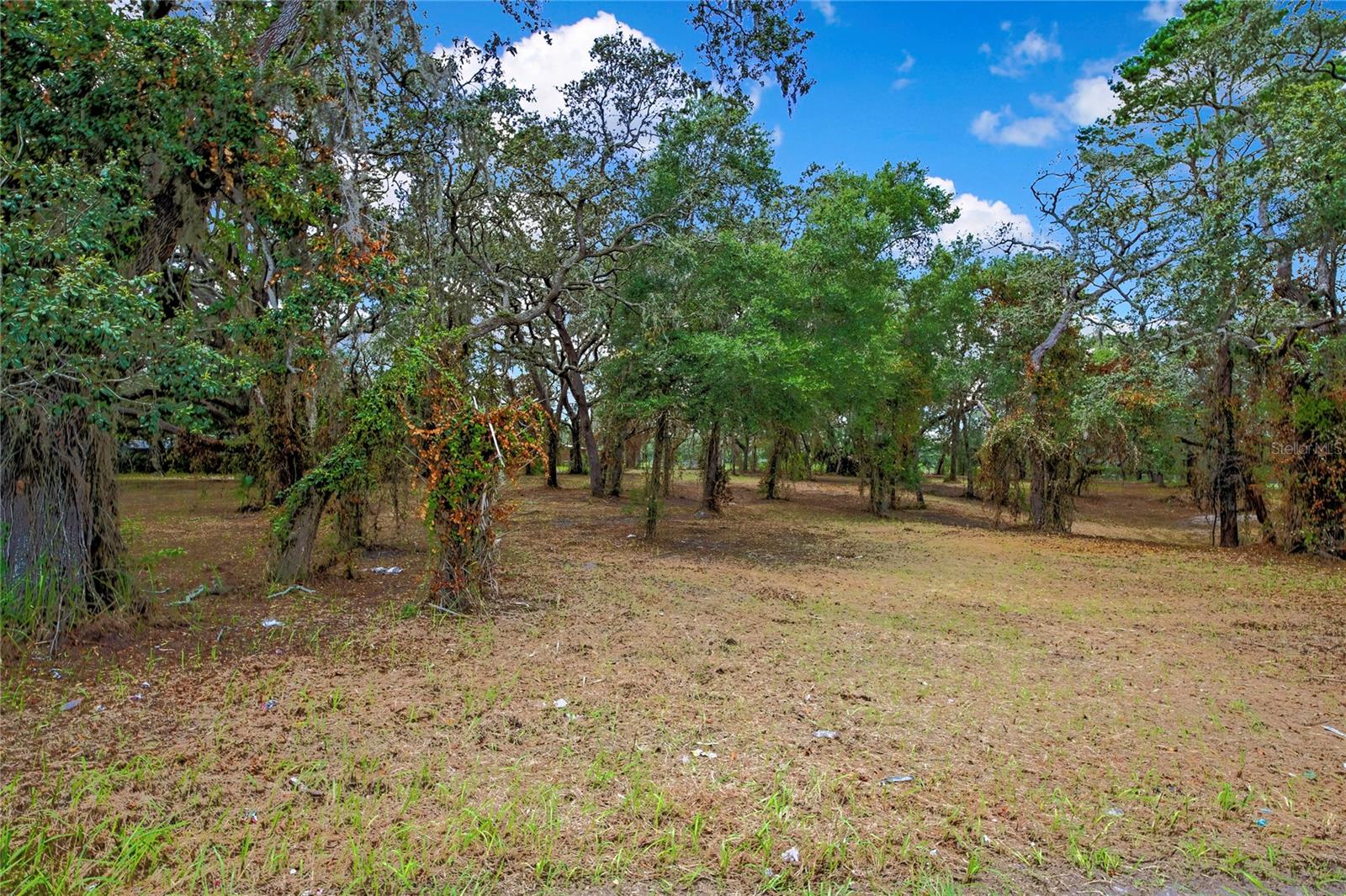 Details for 15727 Hays Road, SPRING HILL, FL 34610