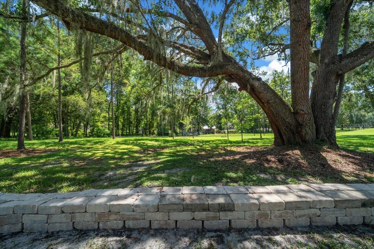 Listing photo id 47 for 10111 Weeks Drive
