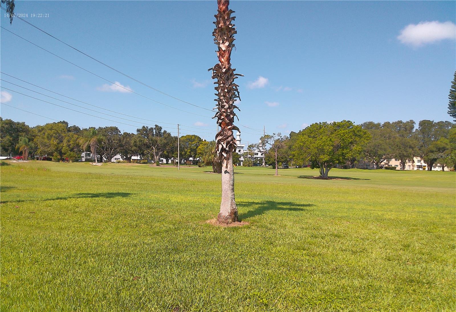 Image 41 of 67 For 2400 Franciscan Drive 8