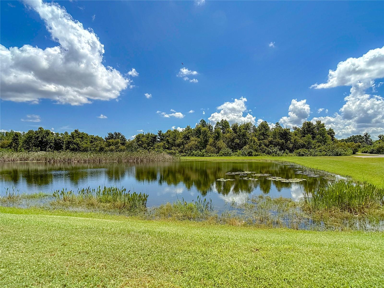Listing photo id 64 for 9528 Baton Rouge Lane