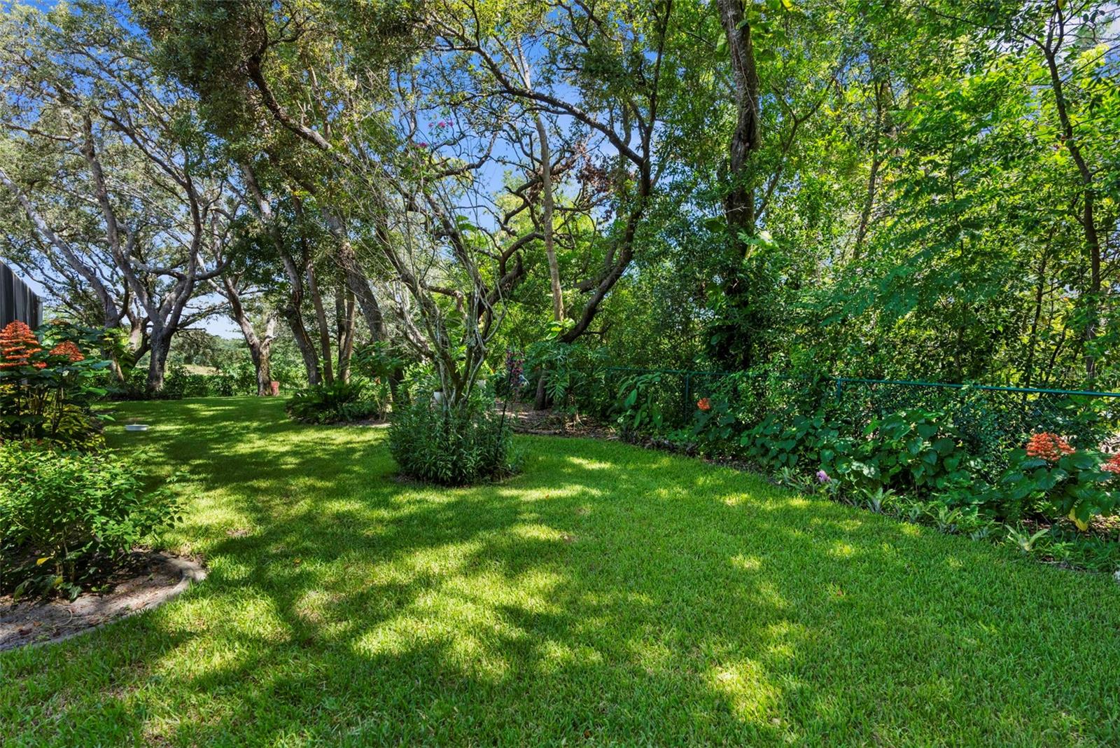 Listing photo id 50 for 14025 Warm Springs Court