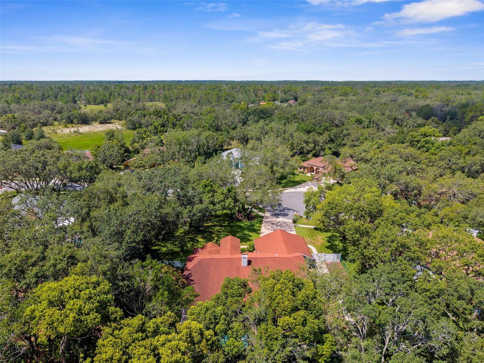 Listing photo id 55 for 14025 Warm Springs Court