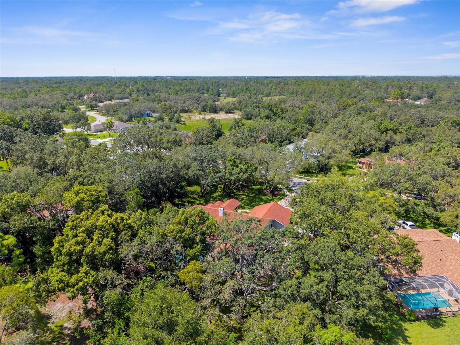 Listing photo id 56 for 14025 Warm Springs Court