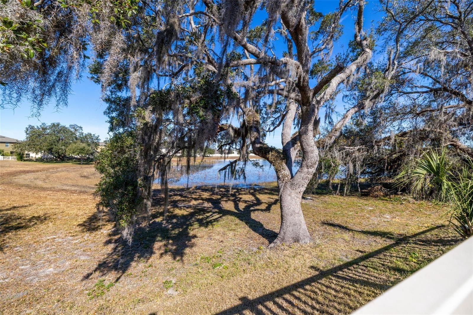 Image 19 of 40 For 13987 Weddington Terrace