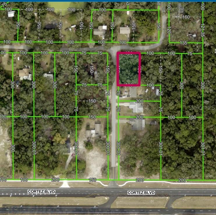 Details for Lot 175c Madison Avenue, DADE CITY, FL 33523