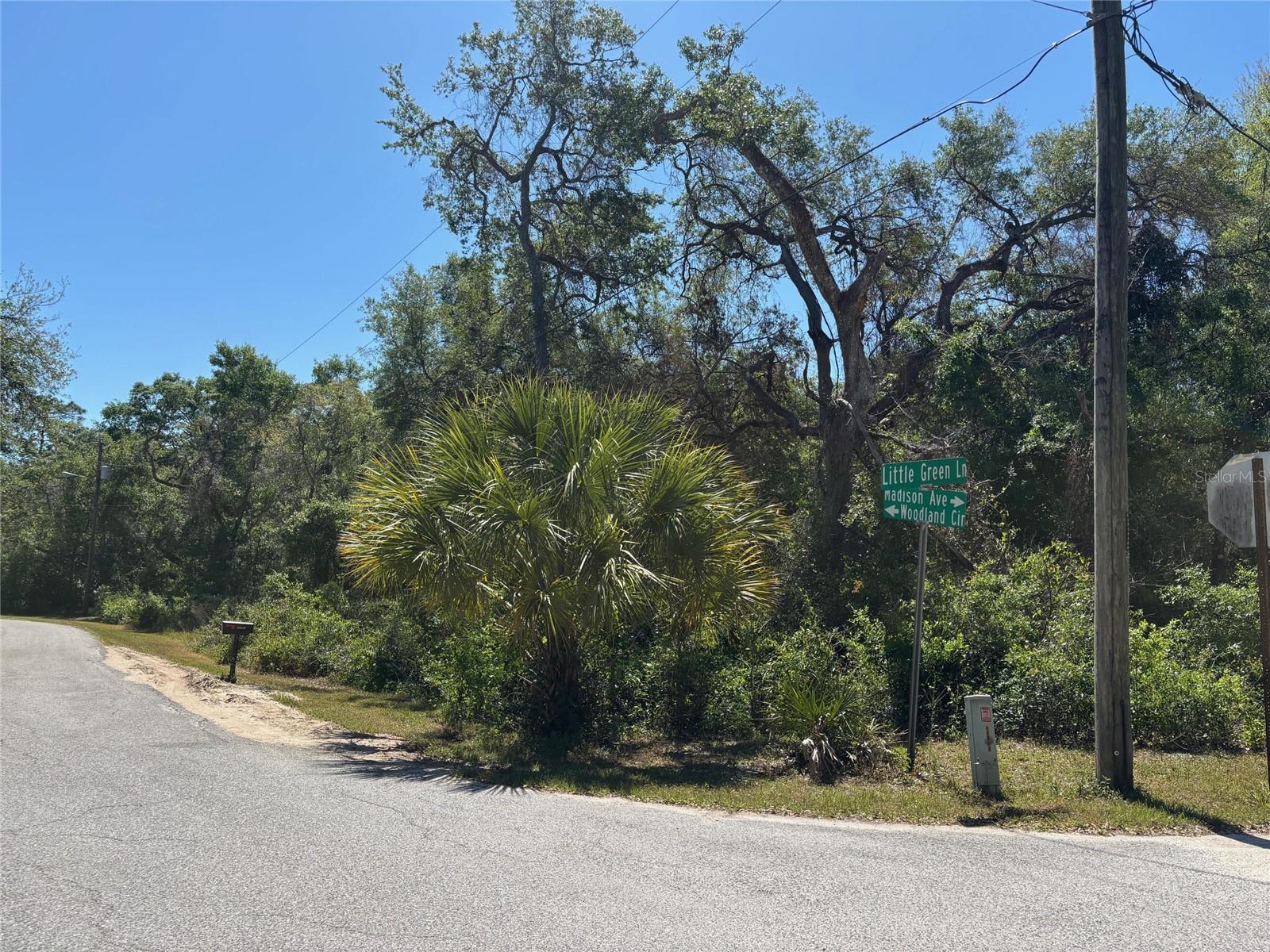 Image 2 of 7 For Lot 175c Madison Avenue