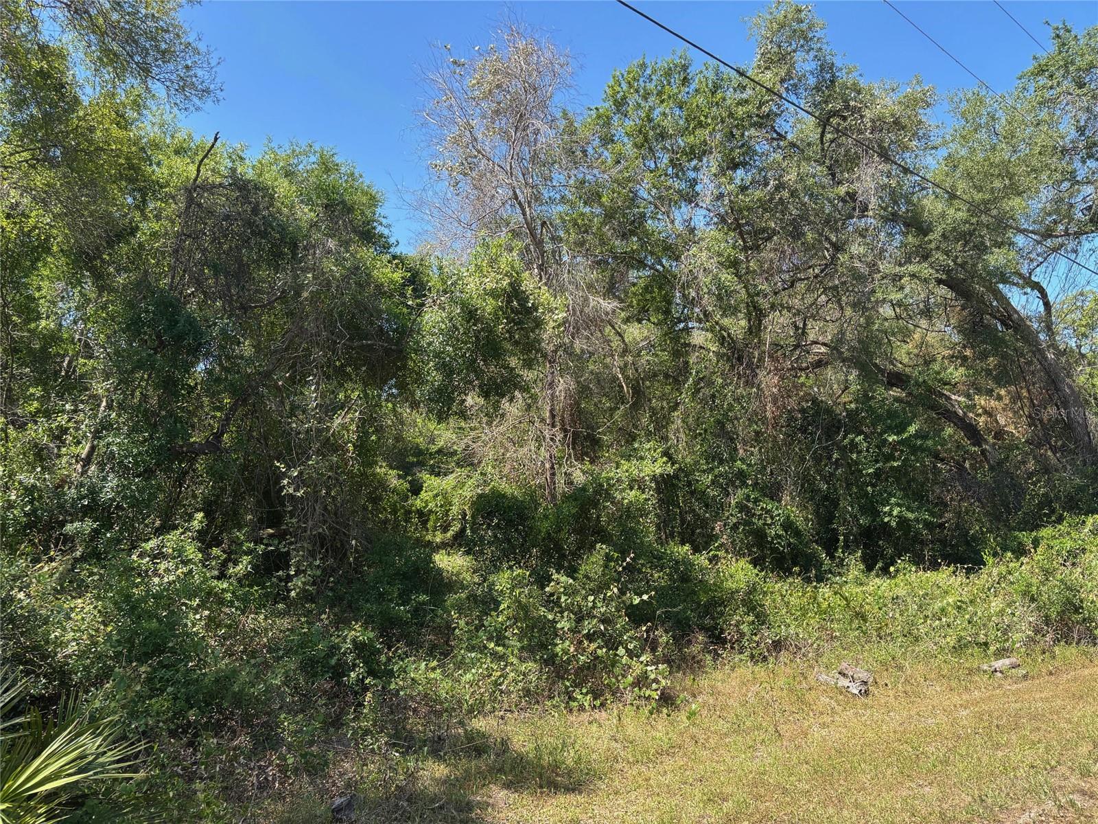 Image 4 of 7 For Lot 175c Madison Avenue