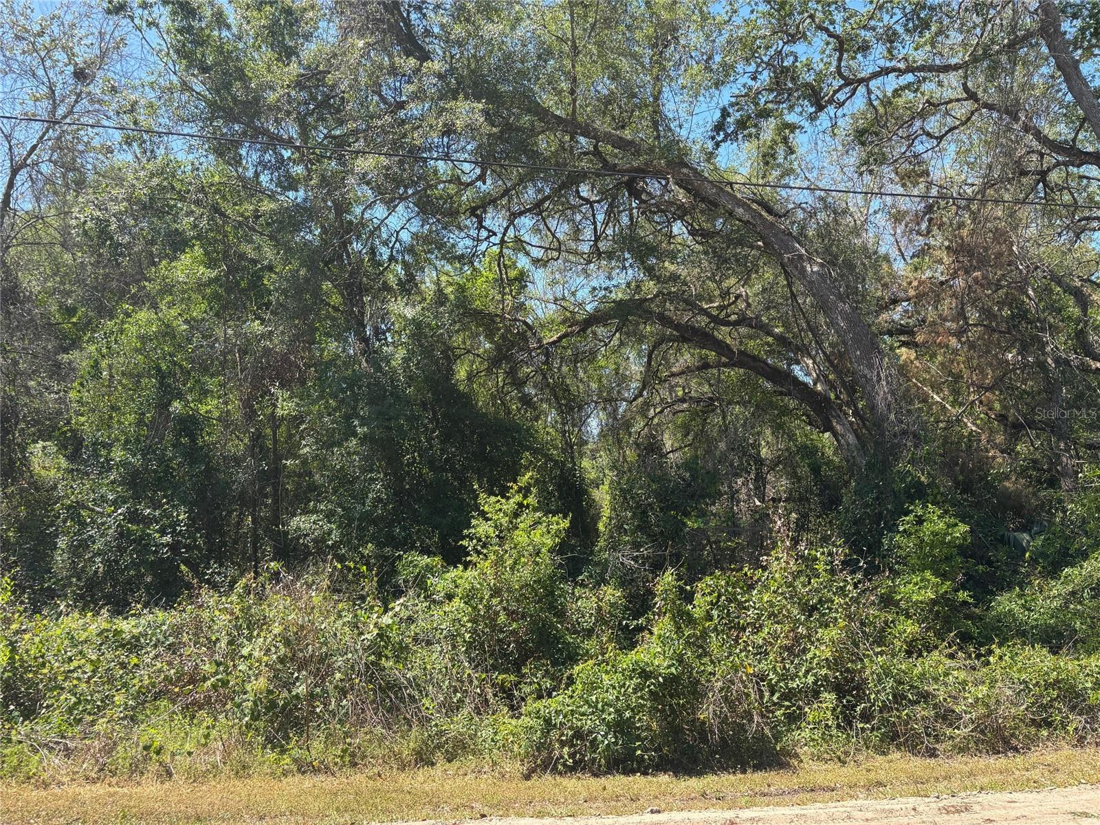 Image 5 of 7 For Lot 175c Madison Avenue