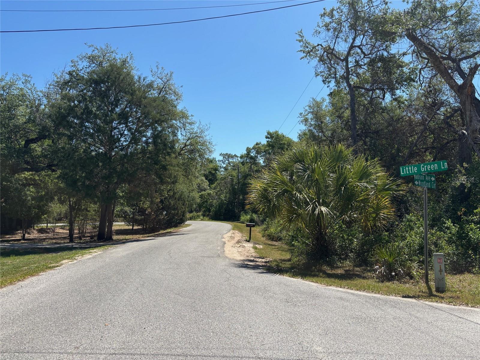 Image 7 of 7 For Lot 175c Madison Avenue