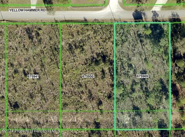 Listing Details for 11130 Yellow Hammer Road, WEEKI WACHEE, FL 34614