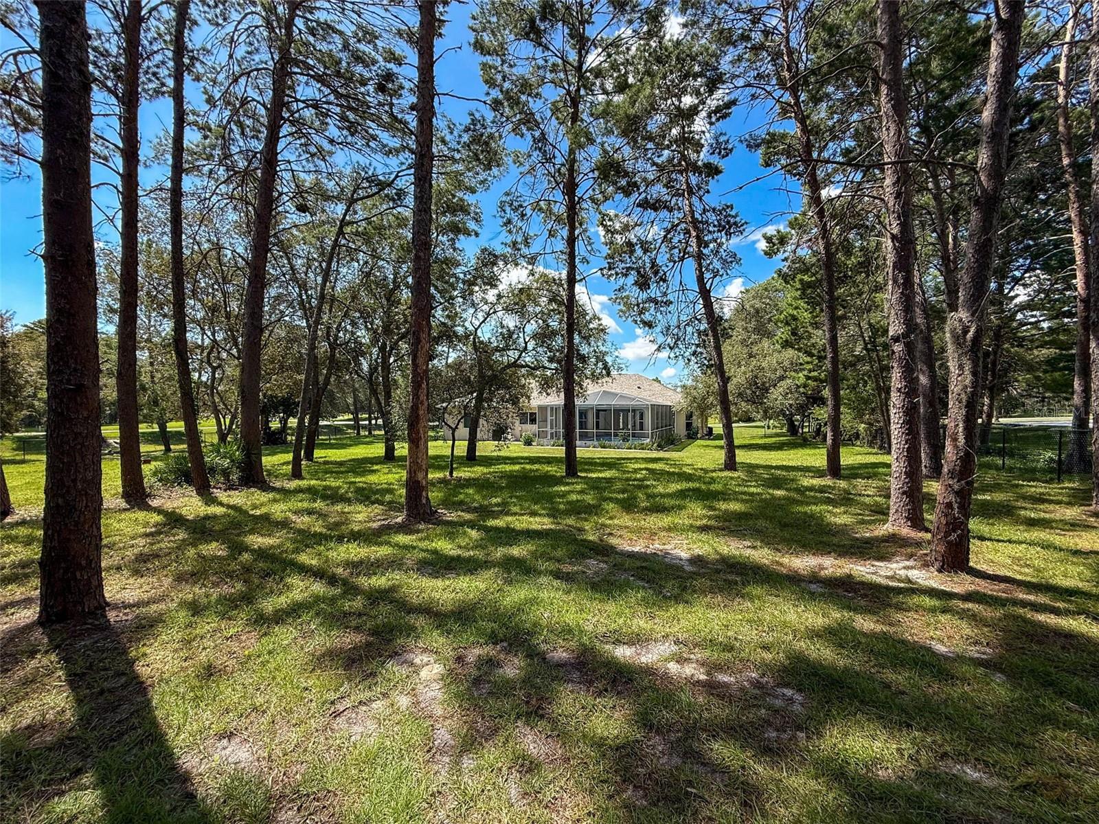 Image 71 of 93 For 11235 Warm Wind Way