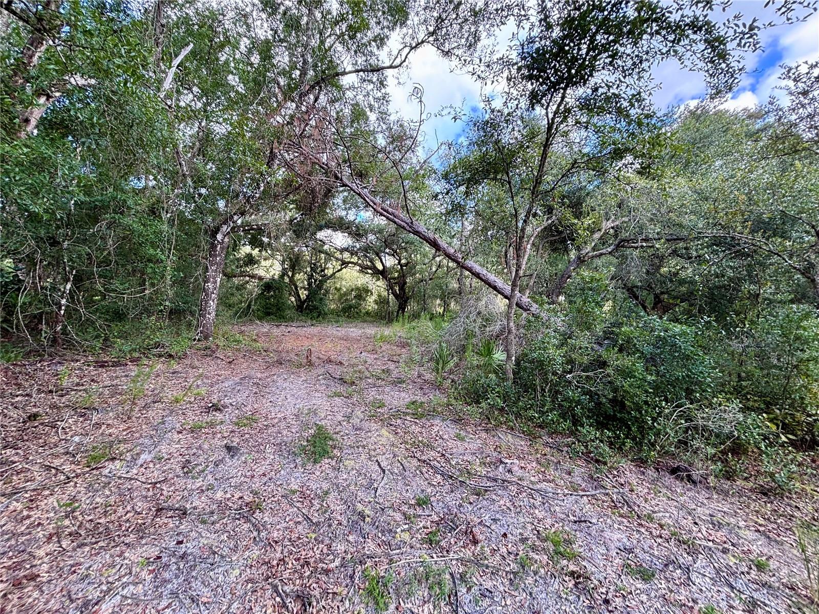 Image 7 of 13 For 0 Bedrock Drive