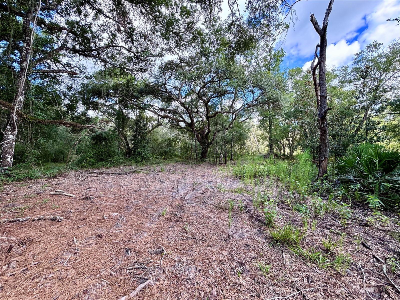 Image 8 of 13 For 0 Bedrock Drive