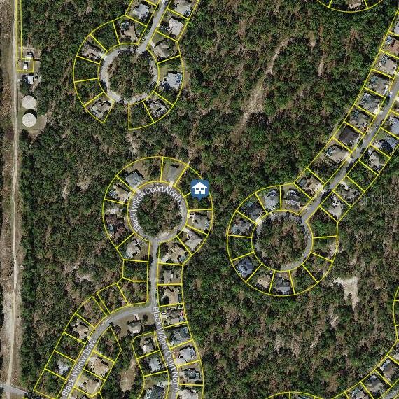 Image 2 of 4 For 29 Black Willow Court N