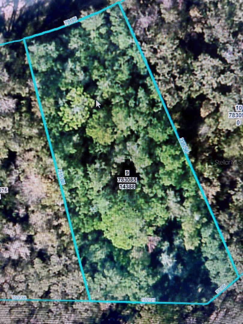 Details for 14388 Chimney Swift Road, WEEKI WACHEE, FL 34614